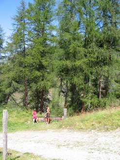 IMG_4453.JPG